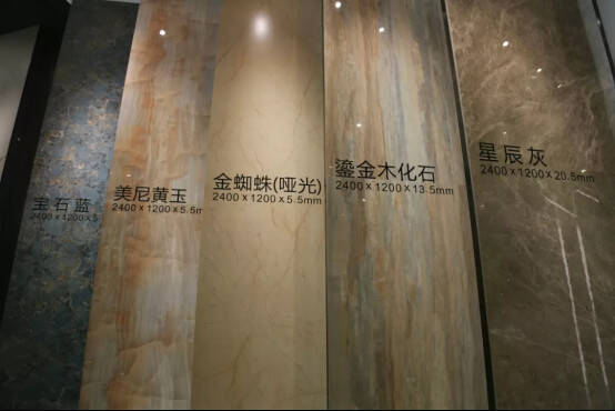20181109进出口博览会1546.jpg