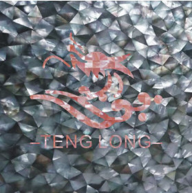 品设计马赛克,一种见过就忘不掉的神奇瓷砖989.jpg