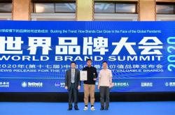 187.16亿元品牌价值| 萨米特瓷砖连续十年入选“中国500最具价值品牌”