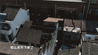 001.1.gif