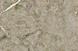 金尊玉月底将推十多款大理石瓷砖新品