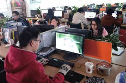 孔雀鱼马赛克：佛山本土电商品牌代表