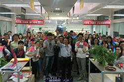 东鹏双十一完美收官 稳居B2C销量第一