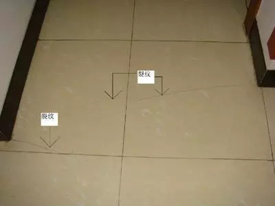 02.webp.jpg
