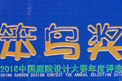 首届“笨鸟奖”优秀作品炼成记