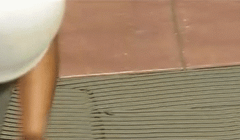 1460967829286720.gif