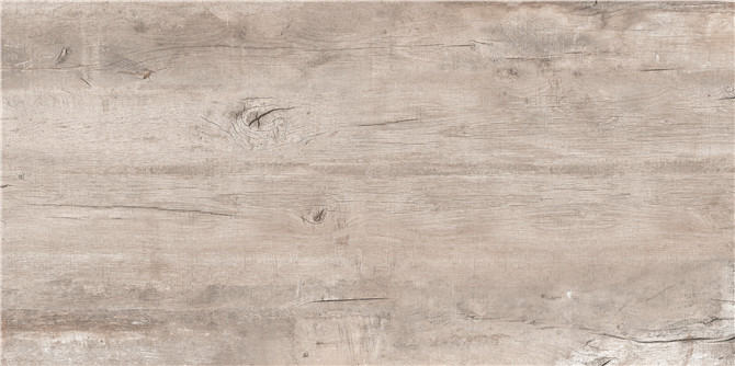 LF-WI1U126046侏罗纪硅化木-浅灰.jpg
