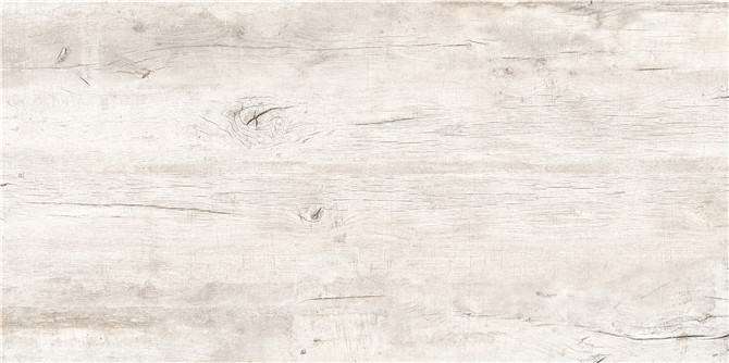 LF-WI1U126045侏罗纪硅化木-灰白.jpg