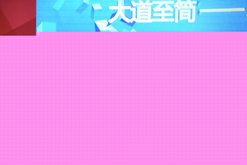 2018无大板，不品牌“聚焦陶瓷大板生产和应用”主题论坛 圆满举行649.jpg