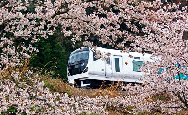 日本地铁甲府站 (3).jpg