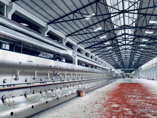 518 摩德娜承建的金牌企业二期岩板生产线隆重点火(2)(1)2958.jpg